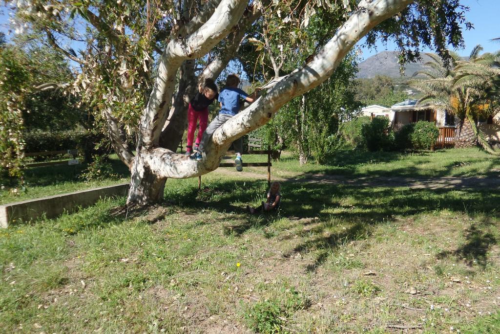 Camping Mobile Home U Sole Marinu Patrimonio Dış mekan fotoğraf