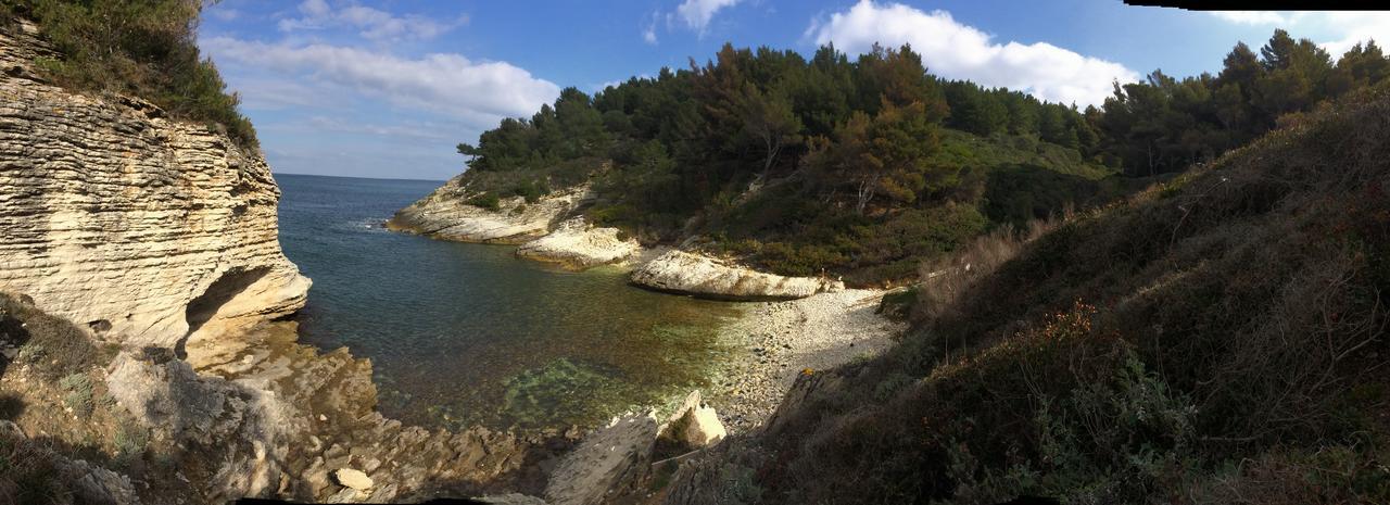 Camping Mobile Home U Sole Marinu Patrimonio Dış mekan fotoğraf
